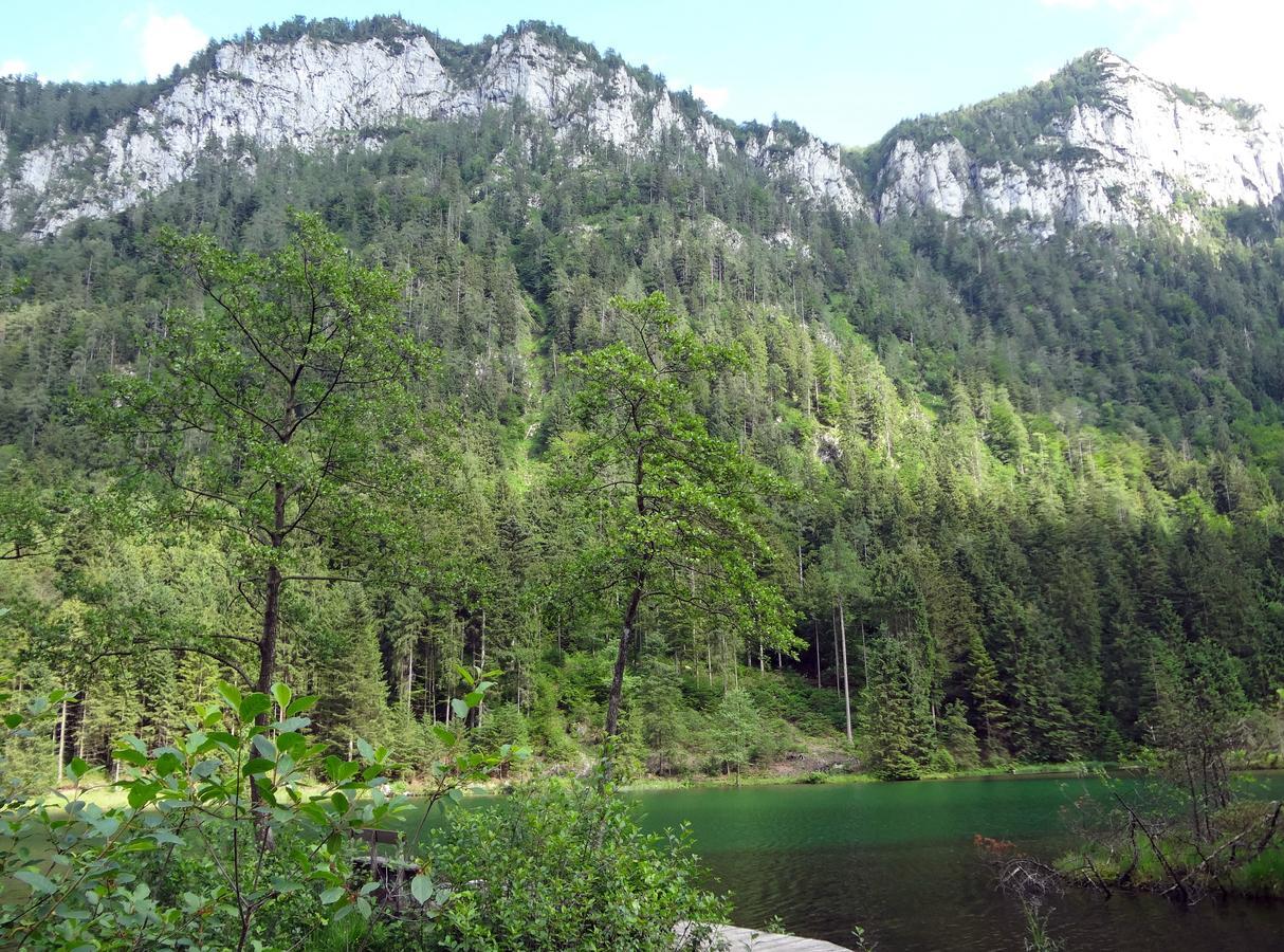Alpenhotel Gastager Inzell Exteriör bild