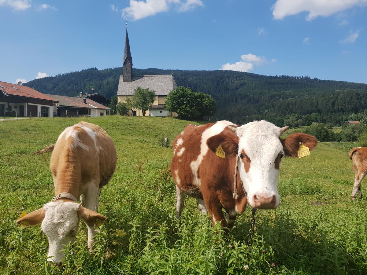 Alpenhotel Gastager Inzell Exteriör bild